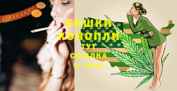 амф Няндома