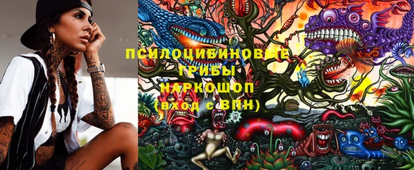 гидропоника Осинники