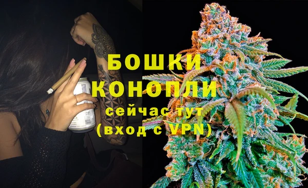 амф Няндома