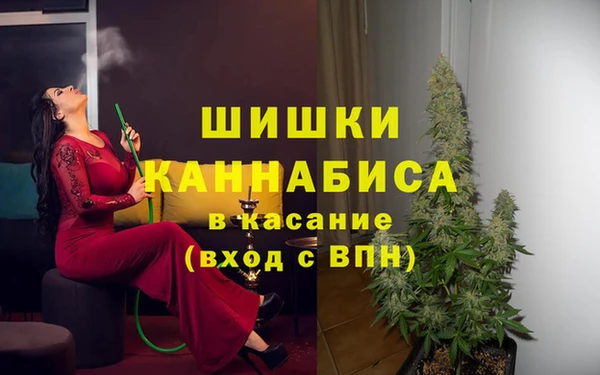 гидропоника Осинники
