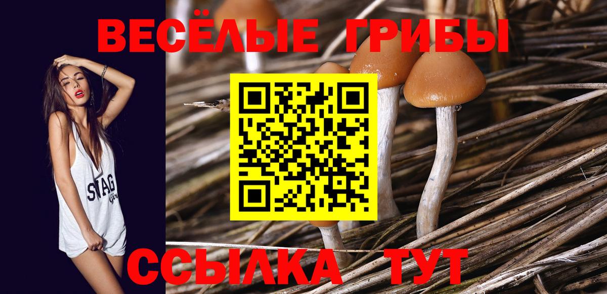 Галлюциногенные грибы Psilocybine cubensis Старая Купавна